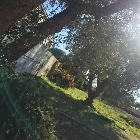 Il Trullo *